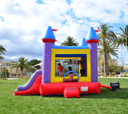 Side 1754539638 Jelly Bean Castle - Dry